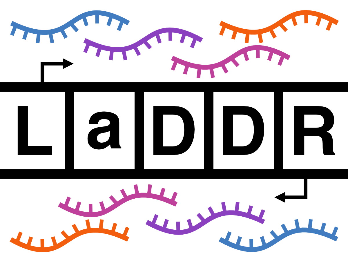 LaDDR